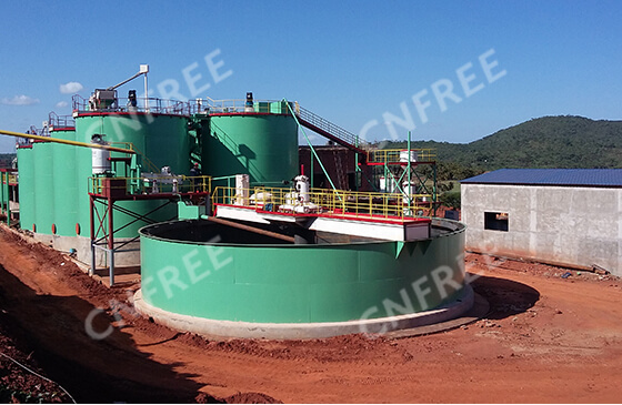 Gold CIP Extraction Process
