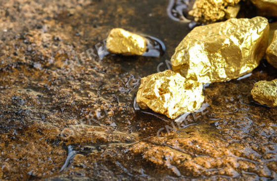 CNFREE Eco-friendly Gold Dressing Agent, Fighting for the Indonesian Gold Processing Industry