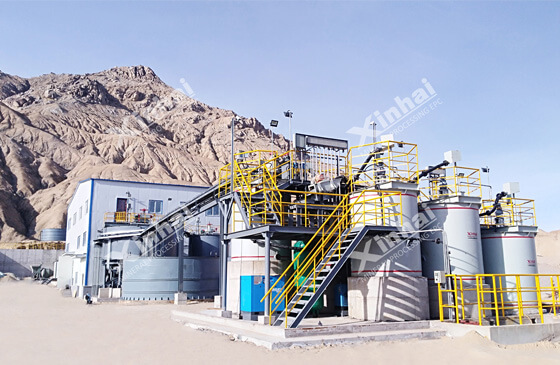 gold CIP plant